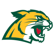 Northern Michigan Wildcats