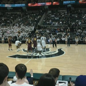 msu minnesota 2013