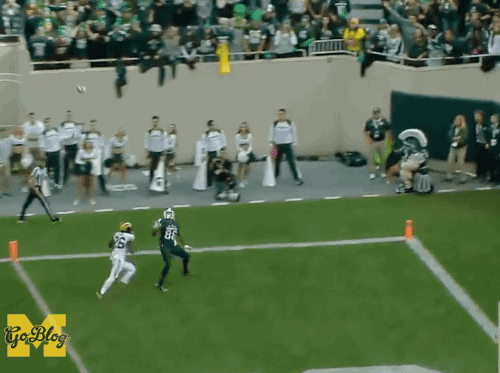 30559209362_1f010d7e29_o.gif
