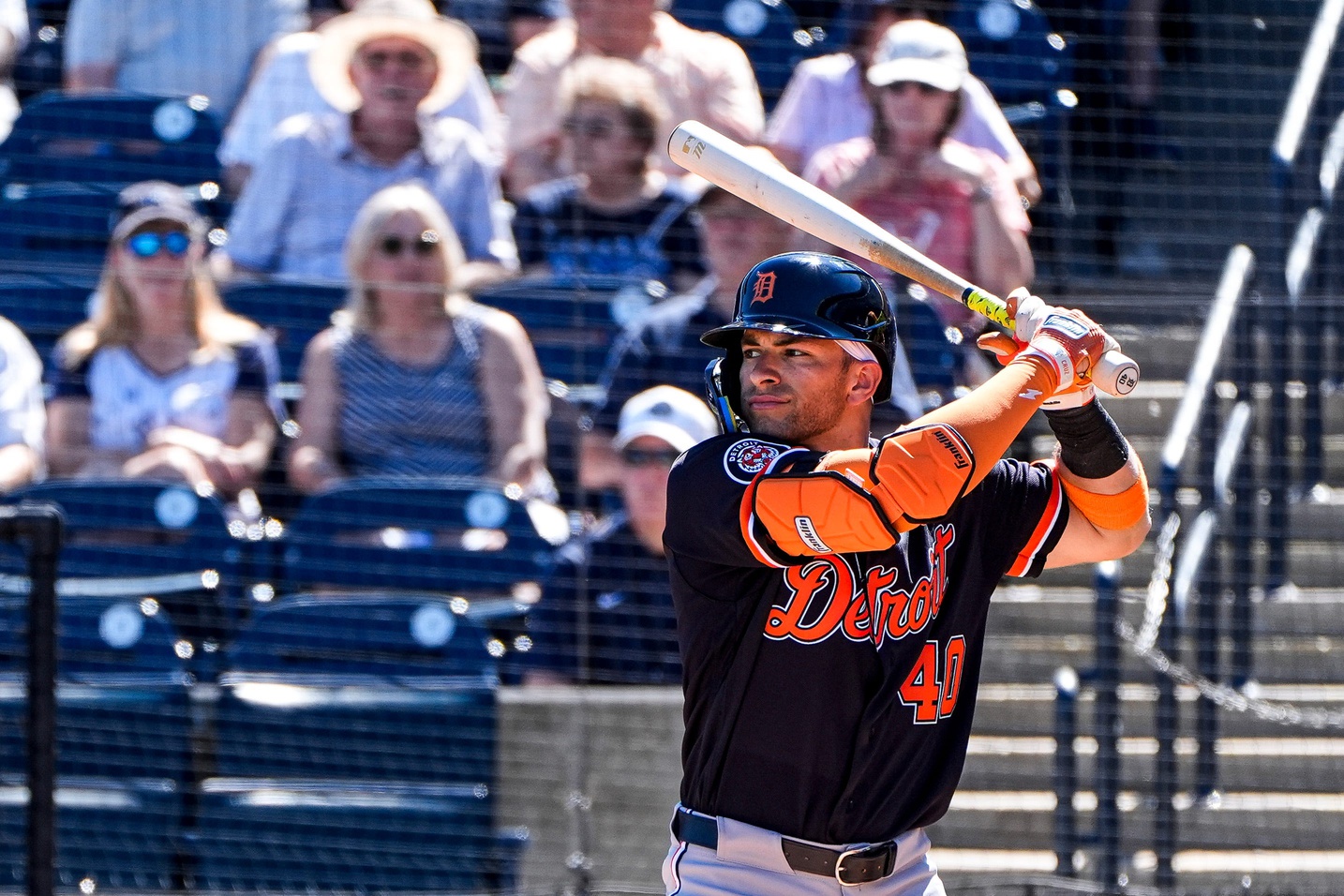 tigersmlreport.com