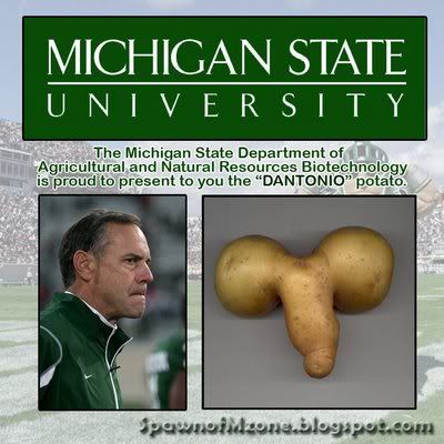 dantonio_potato.jpg
