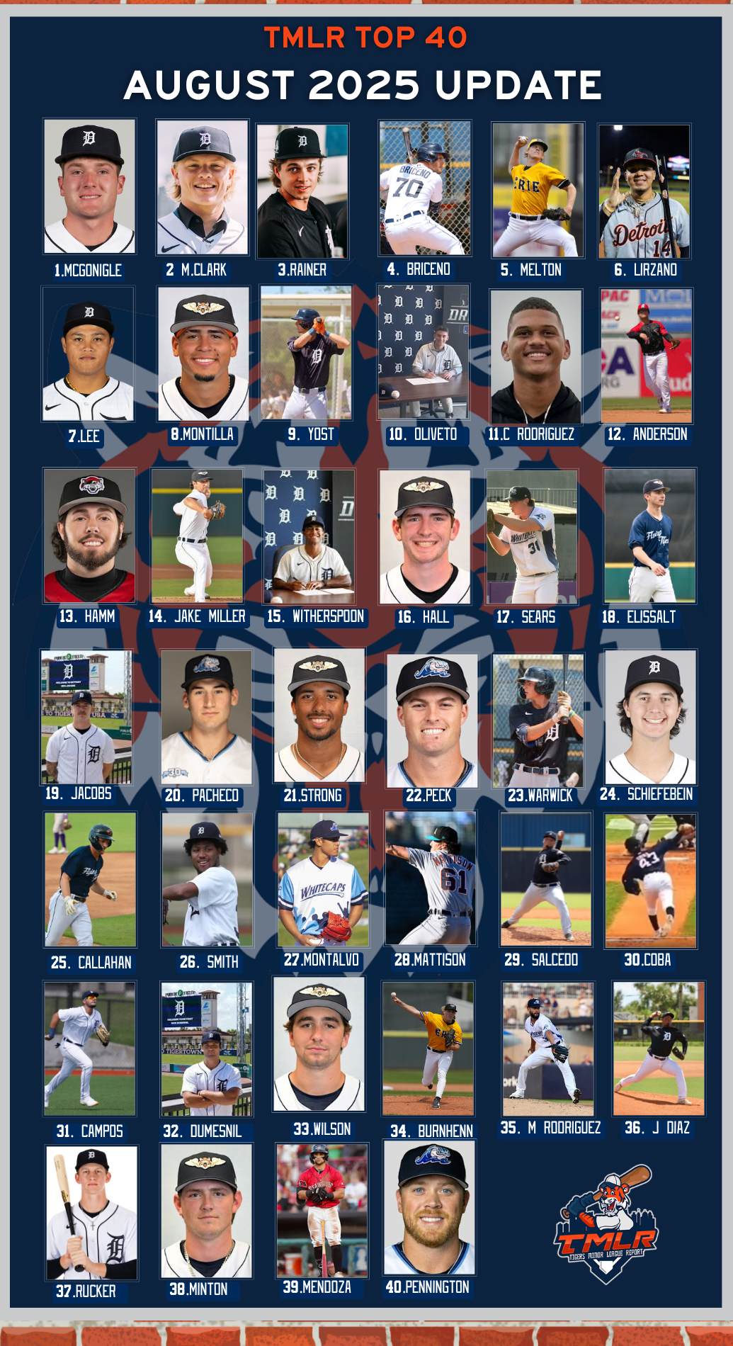 tigersmlreport.com