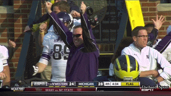 Fitz.gif