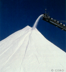 Dampier%20Salt.1.gif